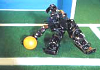 ヒューマノイド・サッカーロボット